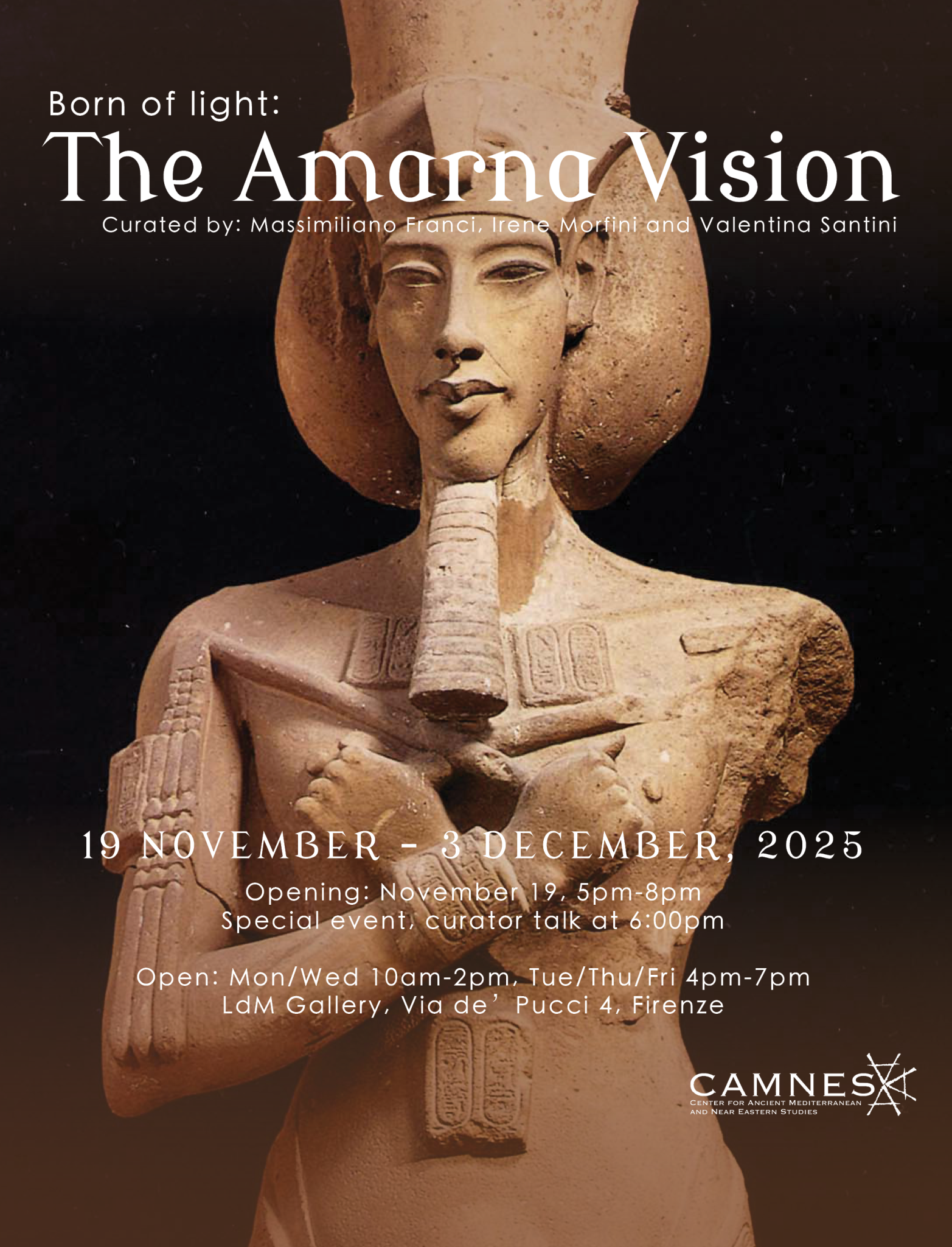 Amarana Vision - LdM Institute