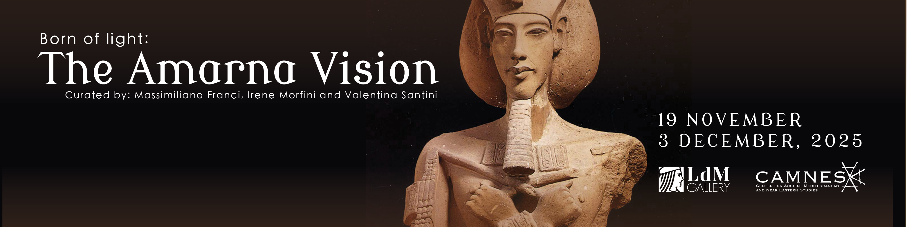 Amarana Vision - LdM Institute